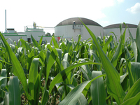 Biogasanlage im Maisfeld_72dpi